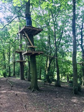 Raven Tree Top Adventure