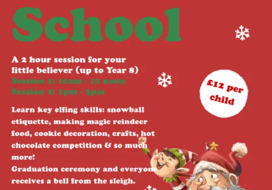 Elf School poster