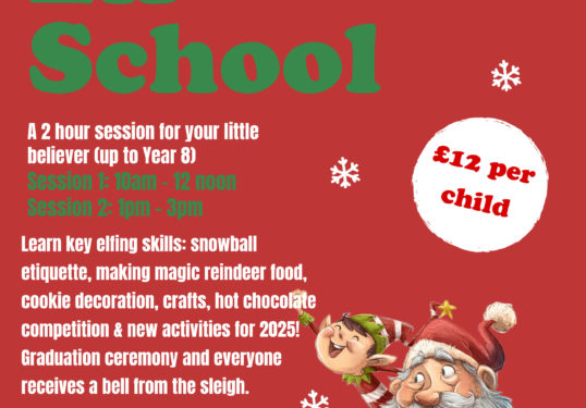 Elf School